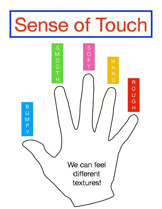 ADA Tactile Signage Design: Creating Accessible Touch-Based Communication